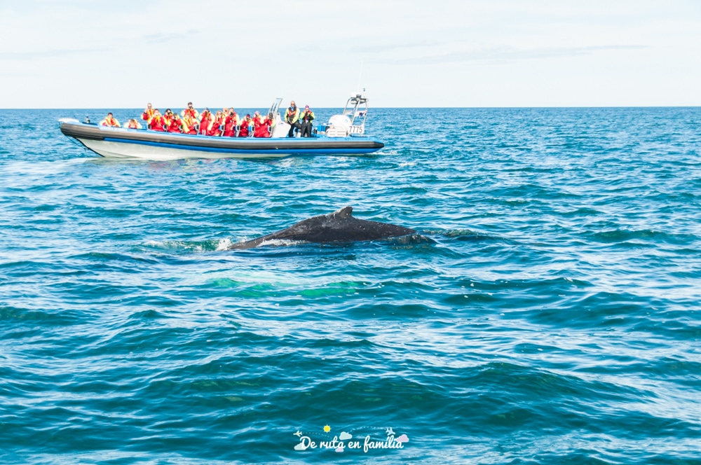 7 dies de ruta per islandia amb cotxe lloguer