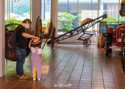 Museo de la Vida Rural de la Espluga de Francolí. Cultura ecológica para famílies