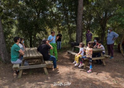 Actividad El mundo de las abejas de Drac Actiu