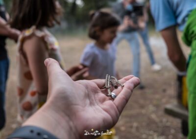 Actividad El mundo de las abejas de Drac Actiu