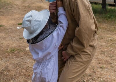 Actividad El mundo de las abejas de Drac Actiu
