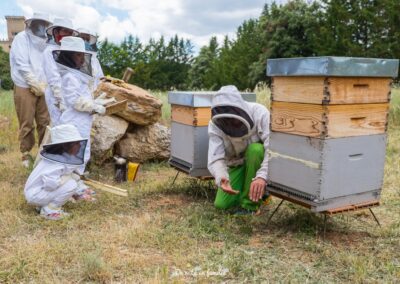 Actividad El mundo de las abejas de Drac Actiu