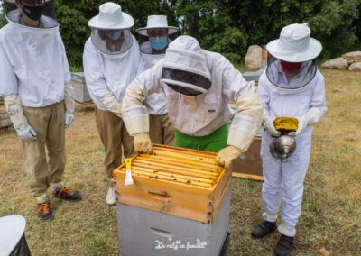 Actividad El mundo de las abejas de Drac Actiu