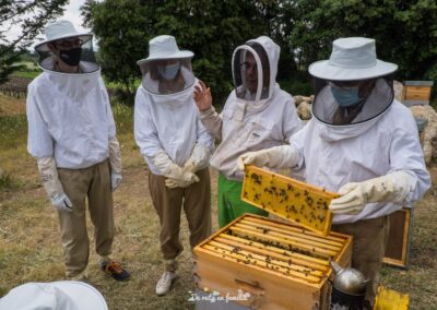 Actividad El mundo de las abejas de Drac Actiu