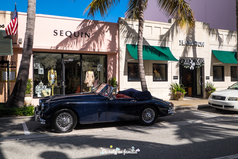 alquilar coche en florida