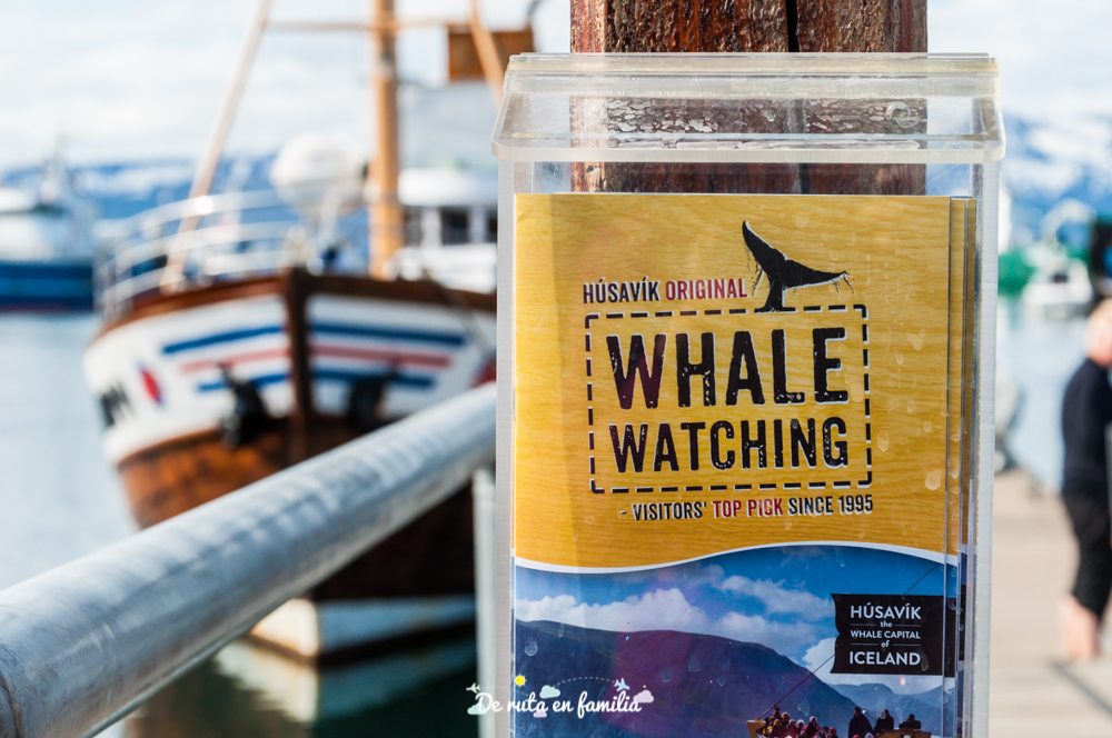 avistar ballenas en Húsavík