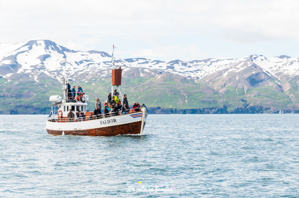 avistar ballenas en Húsavík