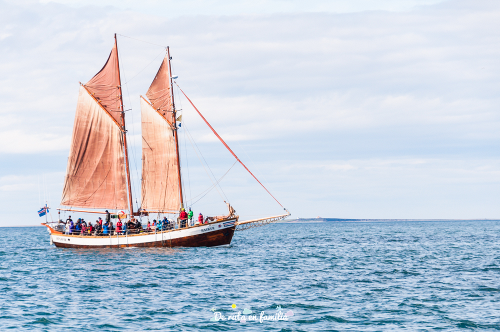 avistar ballenas en Húsavík