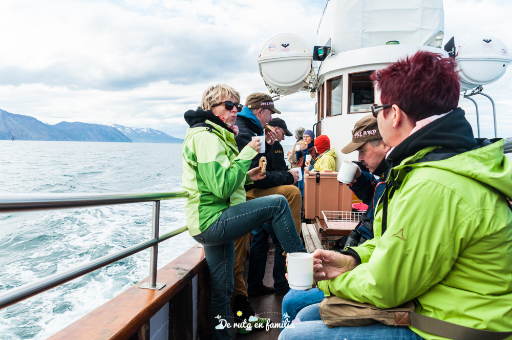 avistar ballenas en Húsavík