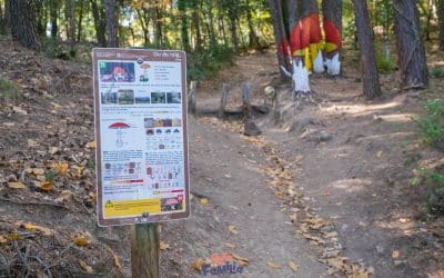 Visitar Svitavy, en la República Checa, y completar su ruta de actividades