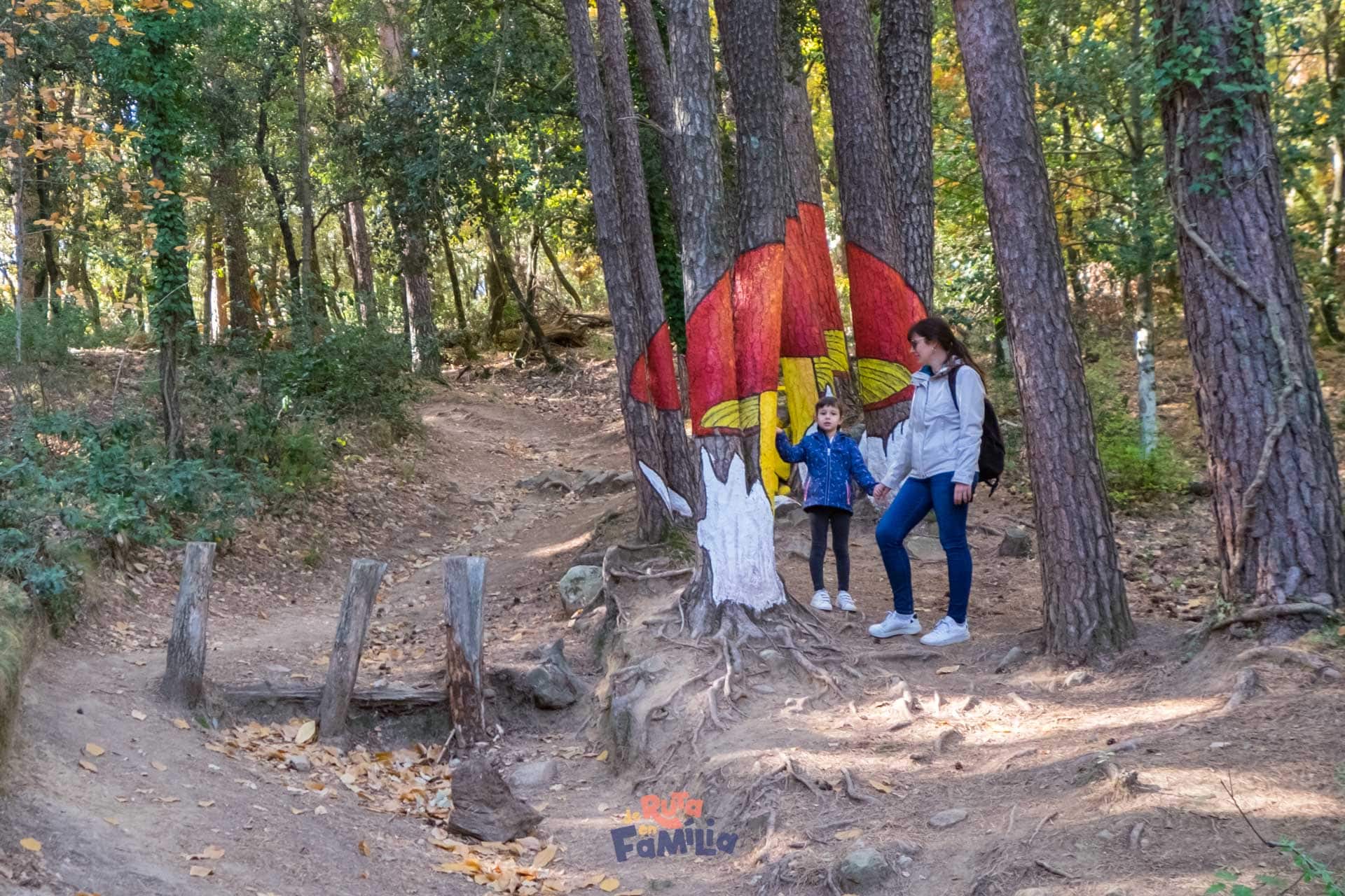 Bosc pintat de Poblet, ruta micológica para hacer con niños en la Conca de Barberà