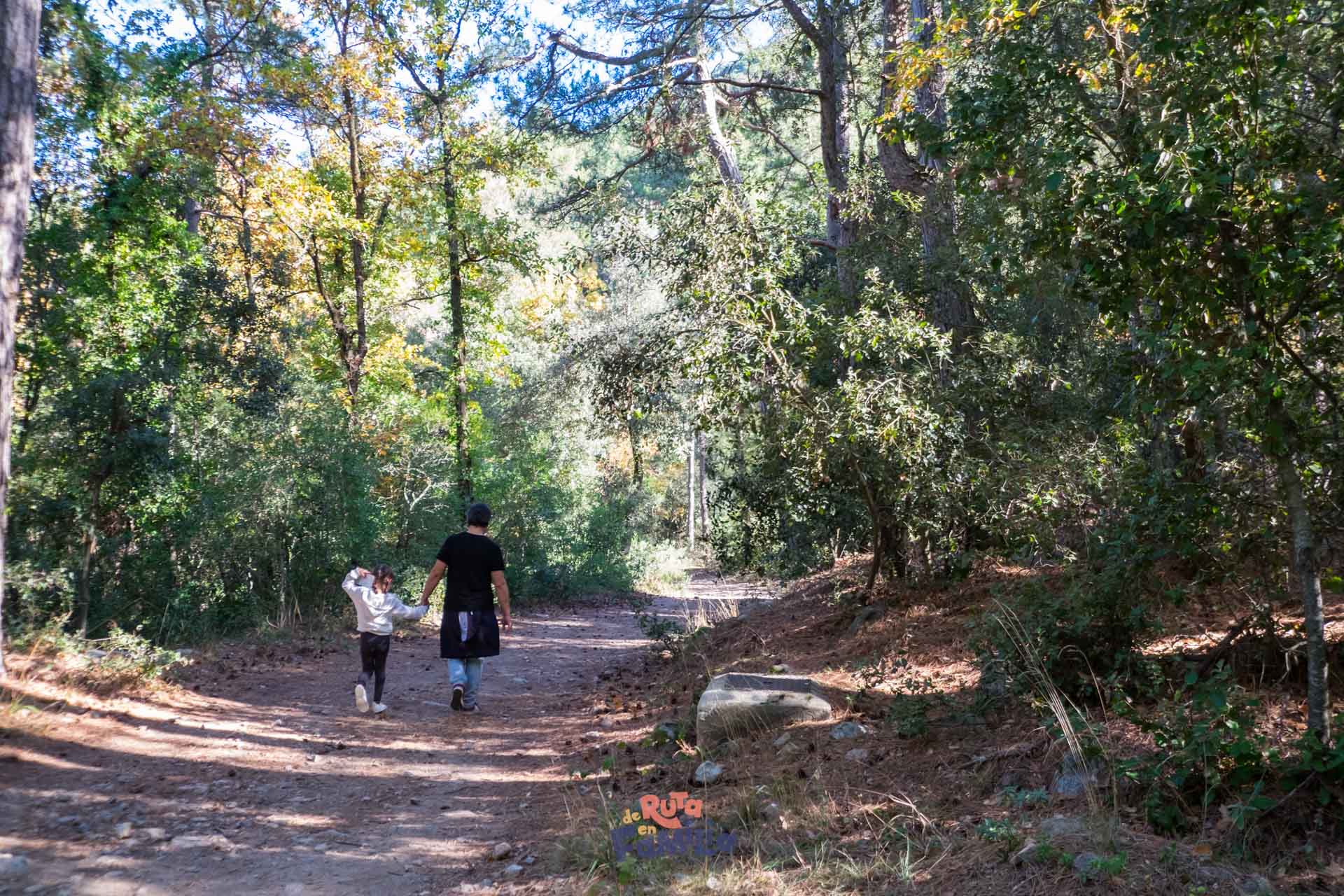 Bosc pintat de Poblet, ruta micológica para hacer con niños en la Conca de Barberà