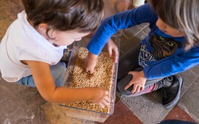 Nuestra experiencia con el Bus a Cegues durante la Semana del Turismo Industrial