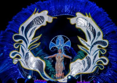 Disfressa d'Or del Carnaval de Tarragona