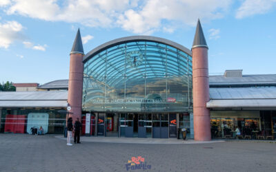 Cómo llegar a Disneyland Paris desde los distintos aeropuertos de París