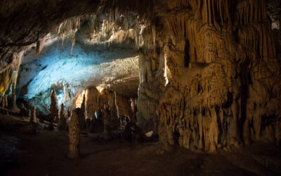 Ruta por Eslovenia (I): Las espectaculares y caras cuevas de Postojna