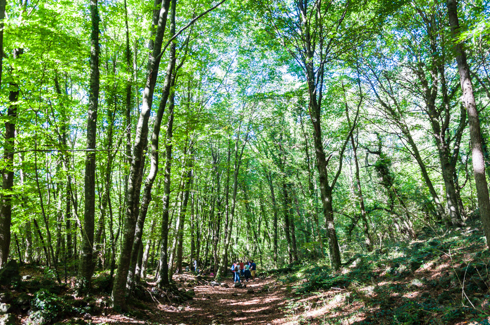 escapada a la garrotxa