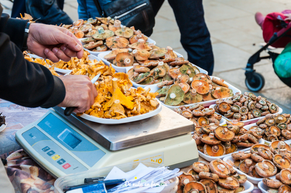 escapada a la garrotxa Vic