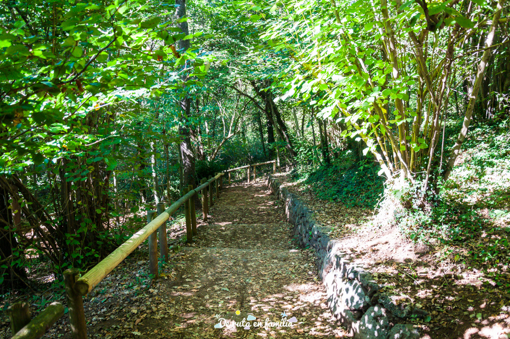fageda d'en jordà garrotxa