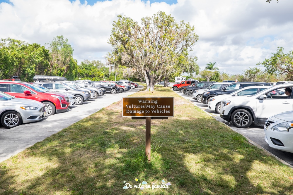 visitar els everglades des de miami