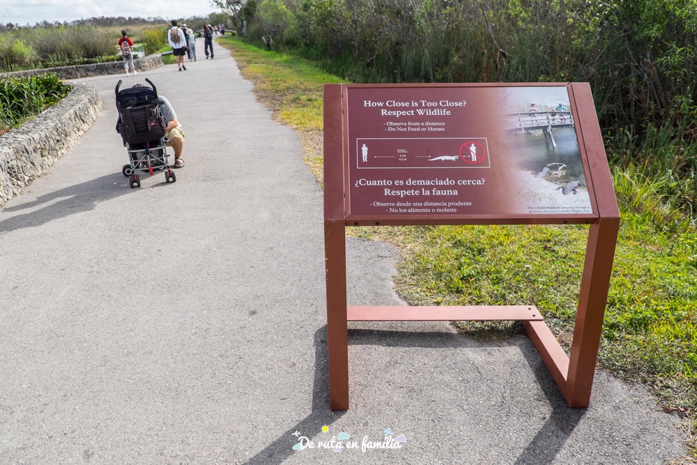 visitar els everglades des de miami