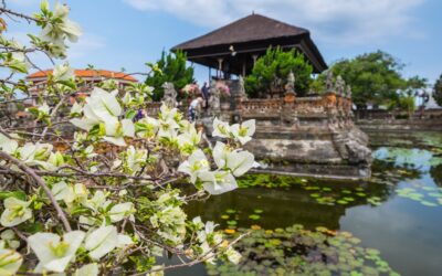 Excursiones privadas con guía español en Bali