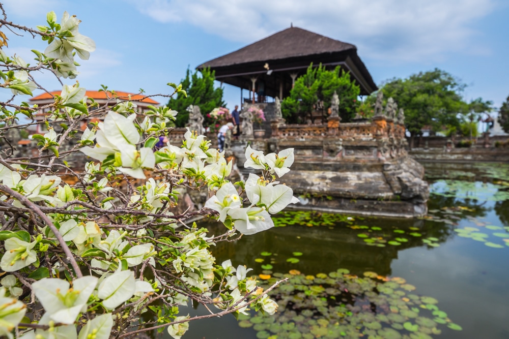 Excursiones privadas con guía español en Bali