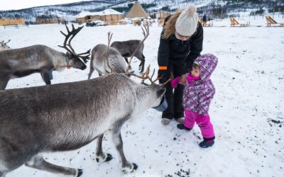 Visitar una granja de renos en Tromsø