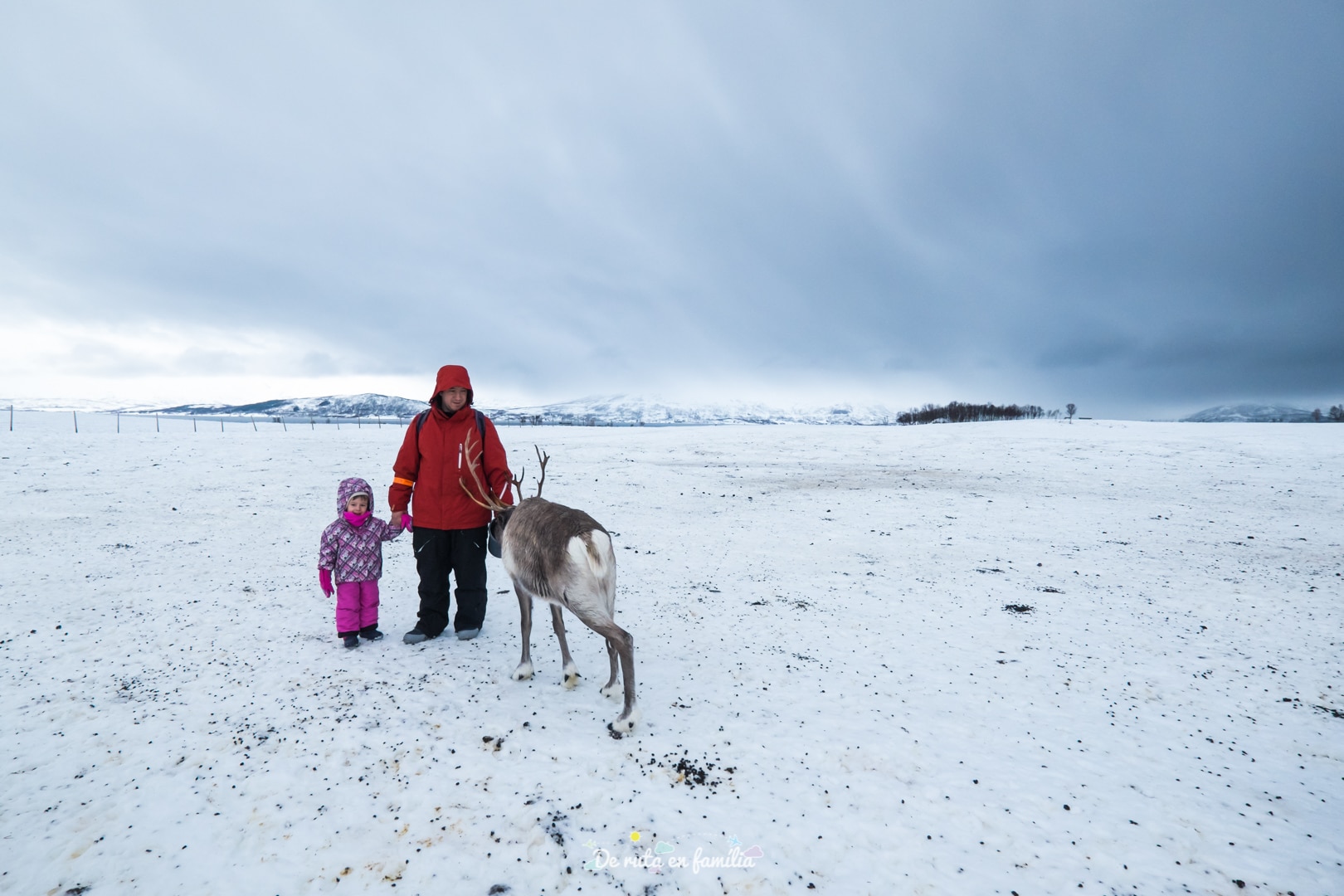 Granja de rens a Tromso