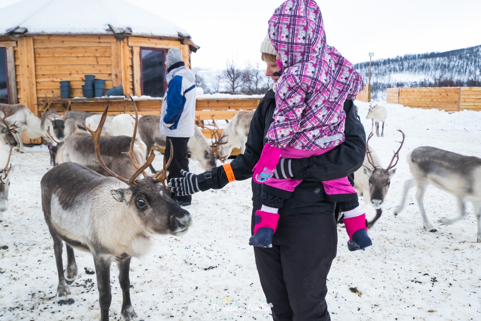 Granja de rens a Tromso