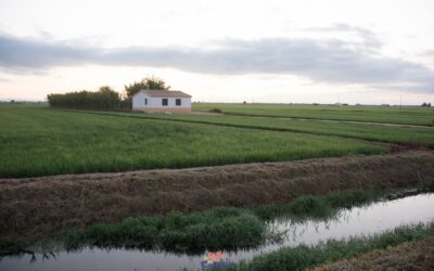 Qué ver en el Delta del Ebro. La guía más completa sobre este paraíso natural