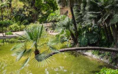 Visitar Saint-Malo, qué ver en la ciudad con la bahía más impresionante de Francia
