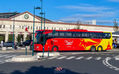 Magical Shuttle a Disneyland Paris. Los horarios y nuestra opinión