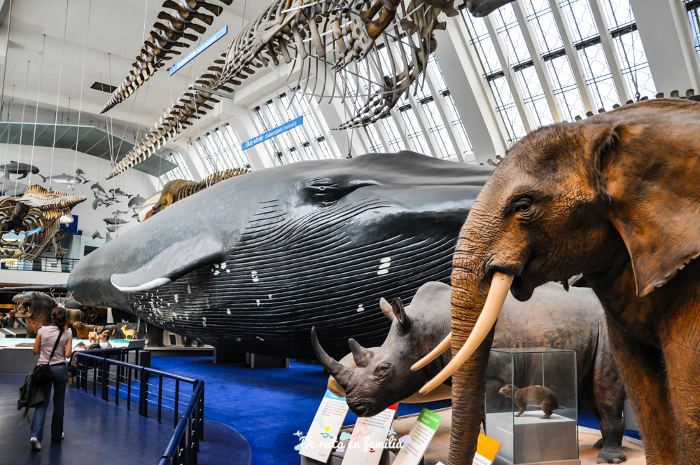 Museo de Historia Natural de Londres