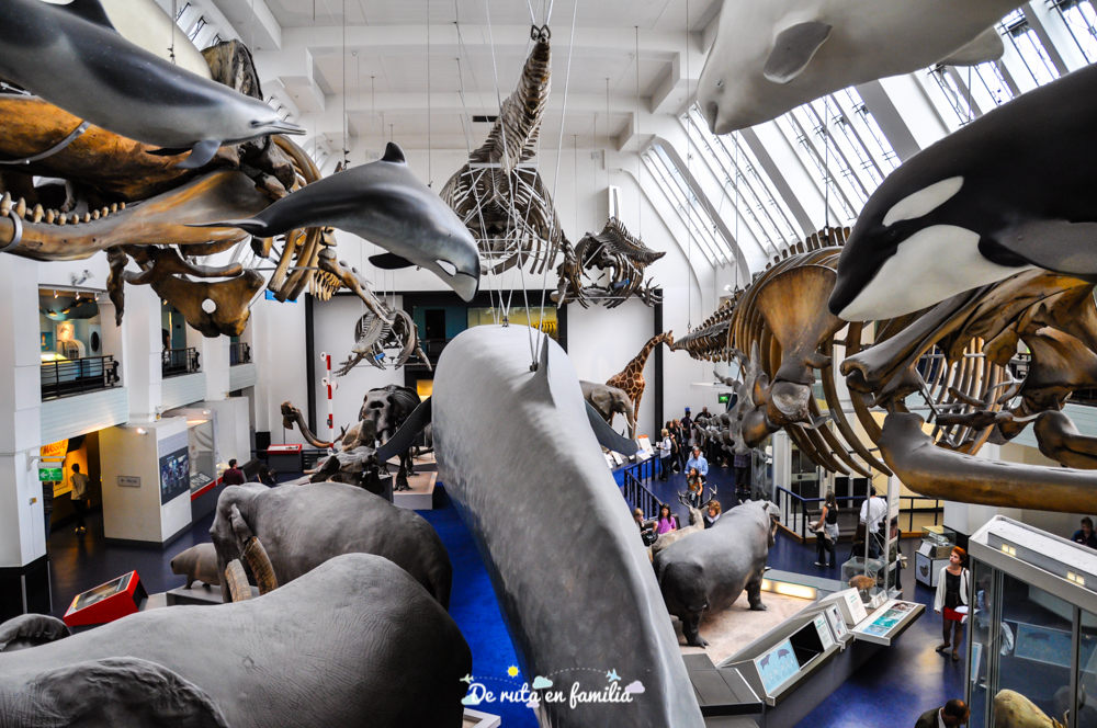 Museo de Historia Natural de Londres
