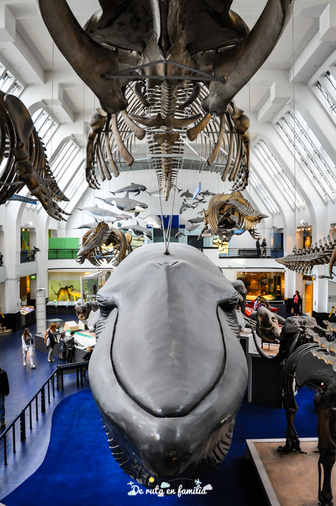 Museo de Historia Natural de Londres