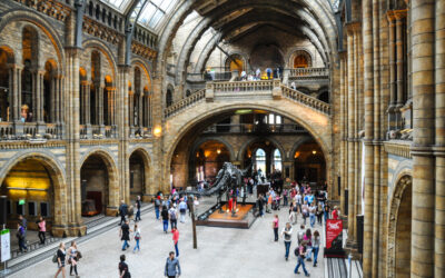 Escapada a Londres. Una mañana en el Museo de Historia Natural