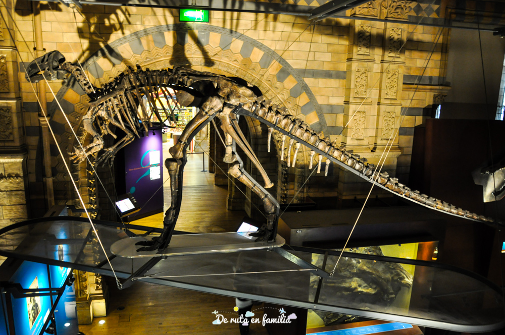 Museo de Historia Natural de Londres