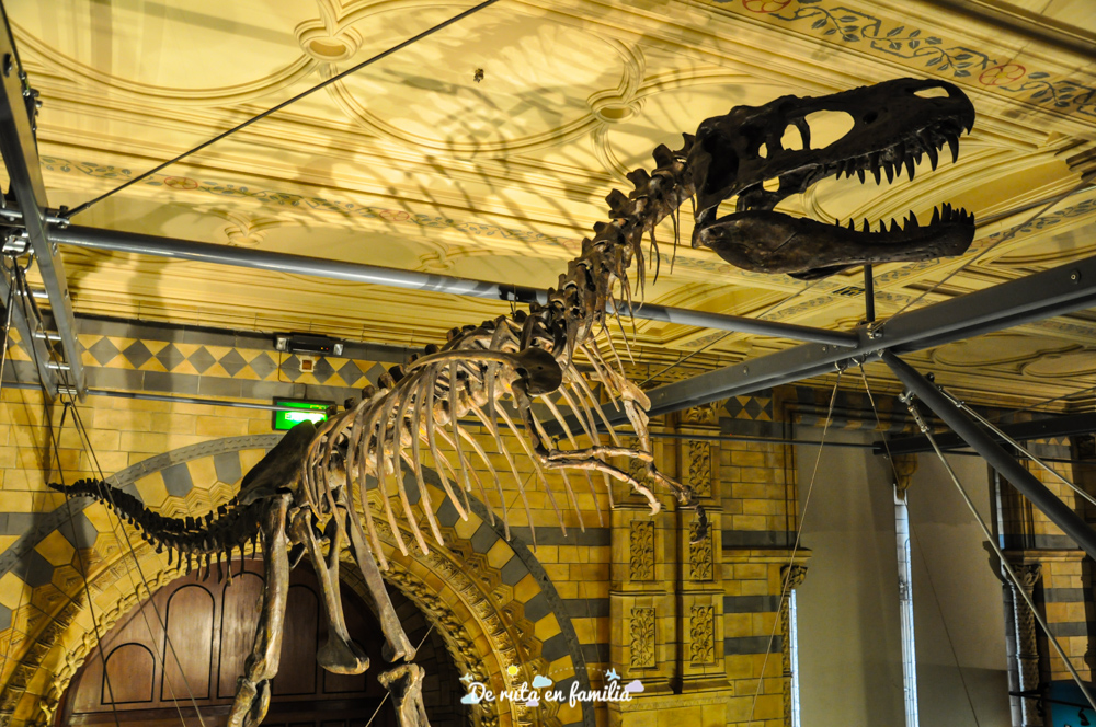 Museo de Historia Natural de Londres