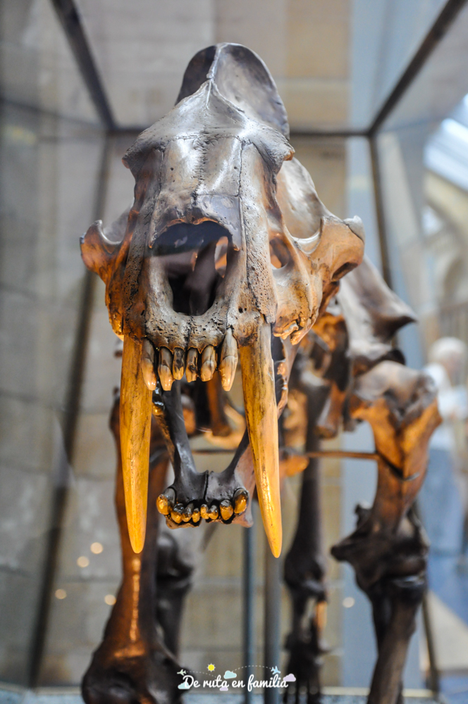 Museo de Historia Natural de Londres