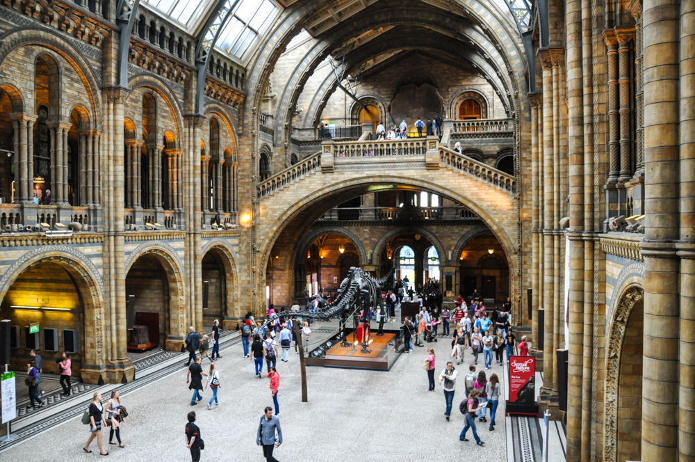 Museo de Historia Natural de Londres