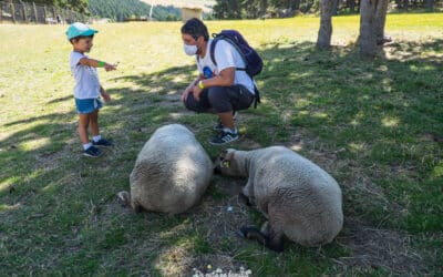 Las novedades y nuestra experiencia visitando PortAventura en 2021