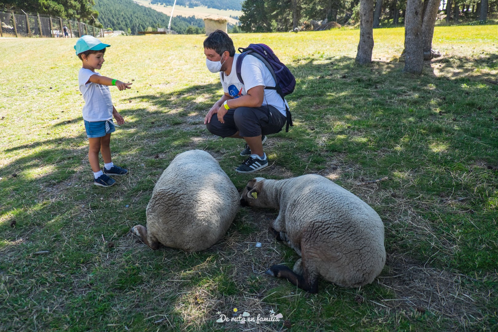 naturlandia parc d'animals