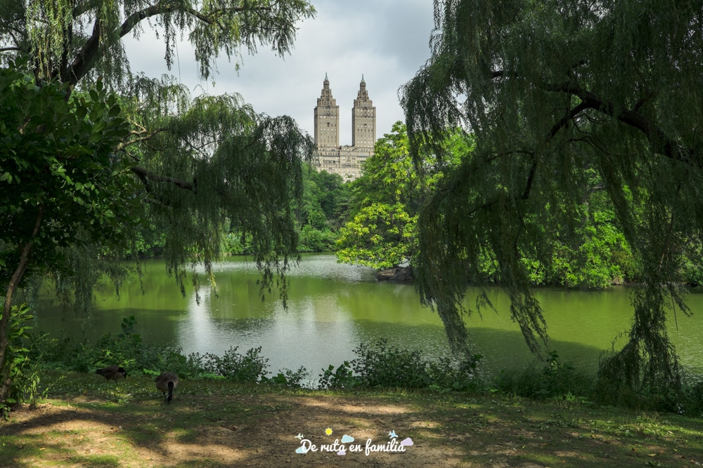 nueva york en 5 dias