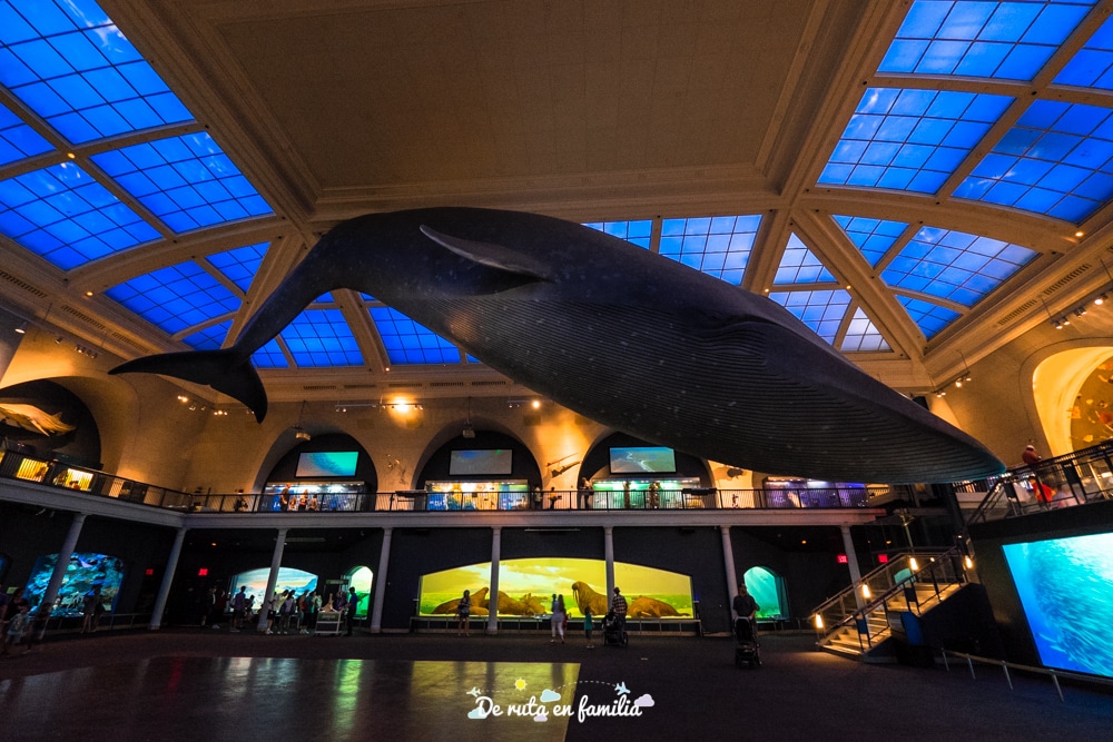 nueva york en 5 dias