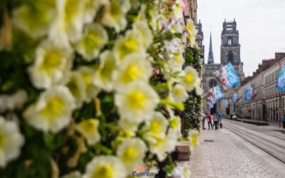 3 días de ruta en coche por los mejores castillos del Valle del Loira