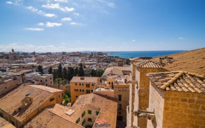Siguiendo las huellas de Leonardo Da Vinci por los castillos del Valle del Loira