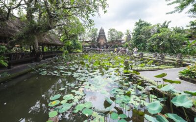 Qué ver en Ubud, los 10 imprescindibles de la capital de Bali