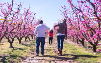 De ruta en família guanya el Premi Millor Blog de Maternitat