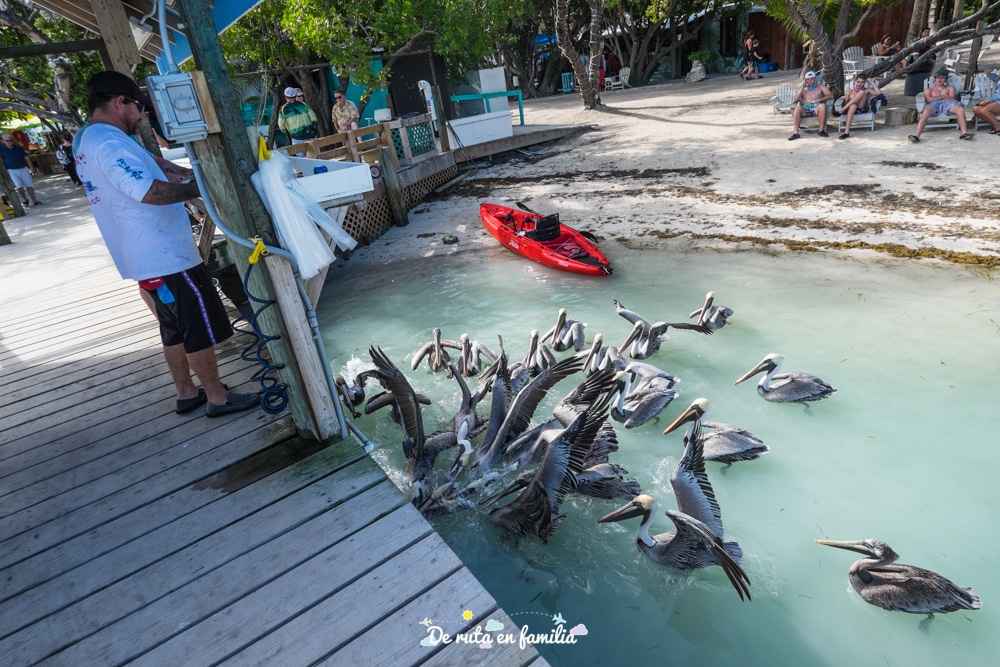 Ruta de 2 días por los Cayos de Florida
